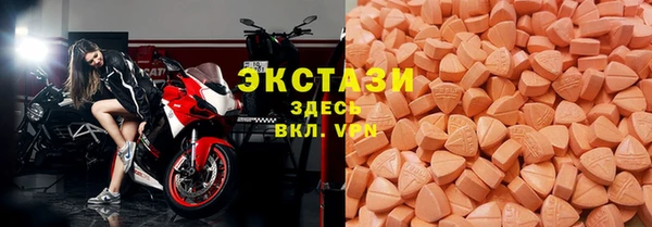 ECSTASY Белокуриха